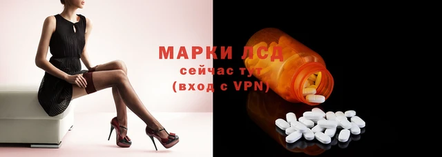 PSILOCYBIN Навашино