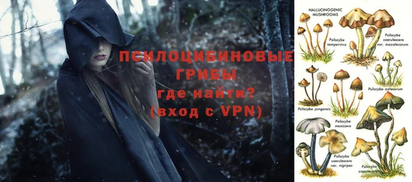 ГАЛЛЮЦИНОГЕННЫЕ ГРИБЫ Новокубанск