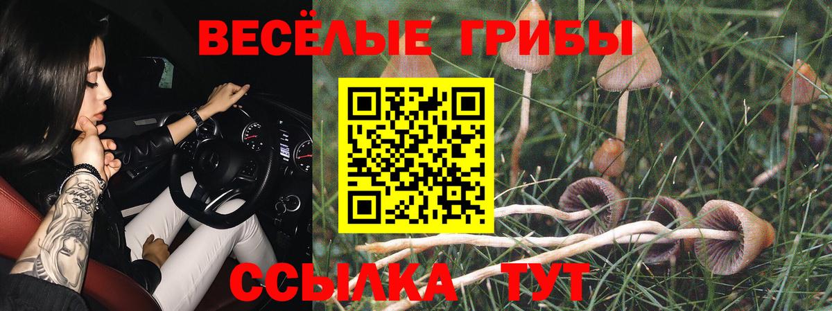 хочу наркоту  Вход с VPN  Лесозаводск  Псилоцибиновые грибы MAGIC MUSHROOMS  Псилоцибиновые грибы Psilocybine cubensis 